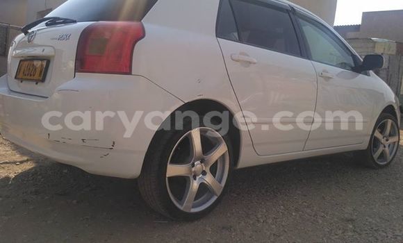 Buy Used Toyota Runx White Car in Windhoek in Namibia Buy Used Toyota Runx White Car in Windhoek in Namibia