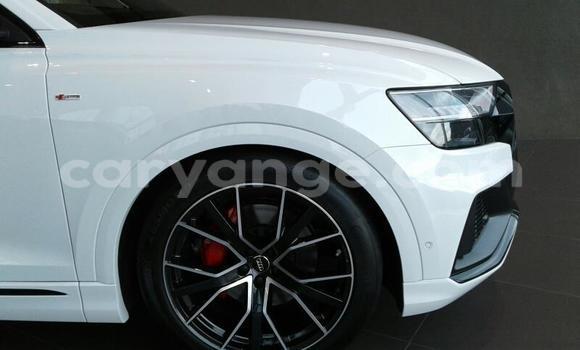 Buy Used Audi Q8 White Car in Windhoek in Namibia Buy Used Audi Q8 White Car in Windhoek in Namibia