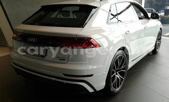 Buy Used Audi Q8 White Car in Windhoek in Namibia Buy Used Audi Q8 White Car in Windhoek in Namibia