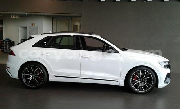 Buy Used Audi Q8 White Car in Windhoek in Namibia Buy Used Audi Q8 White Car in Windhoek in Namibia