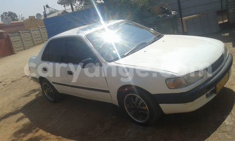 Big with watermark 18954797 10109901822210850 5806381462207131836 o