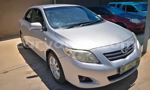 Acheter Occasion Voiture Toyota Corolla Gris à Windhoek, Namibie Acheter Occasion Voiture Toyota Corolla Gris à Windhoek, Namibie