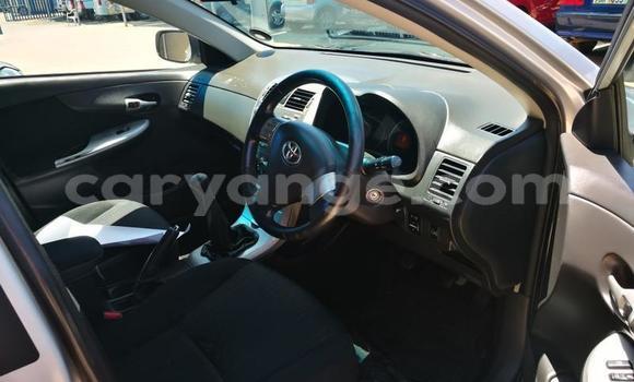 Acheter Occasion Voiture Toyota Corolla Gris à Windhoek, Namibie Acheter Occasion Voiture Toyota Corolla Gris à Windhoek, Namibie