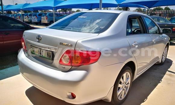 Acheter Occasion Voiture Toyota Corolla Gris à Windhoek, Namibie Acheter Occasion Voiture Toyota Corolla Gris à Windhoek, Namibie