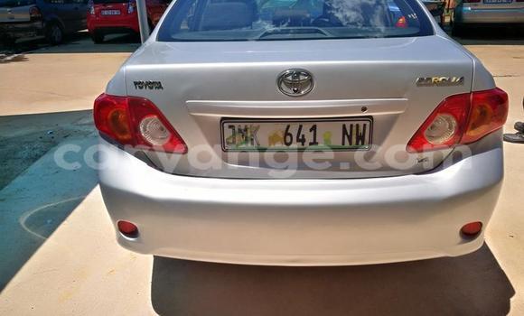 Acheter Occasion Voiture Toyota Corolla Gris à Windhoek, Namibie Acheter Occasion Voiture Toyota Corolla Gris à Windhoek, Namibie