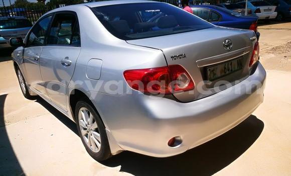 Acheter Occasion Voiture Toyota Corolla Gris à Windhoek, Namibie Acheter Occasion Voiture Toyota Corolla Gris à Windhoek, Namibie