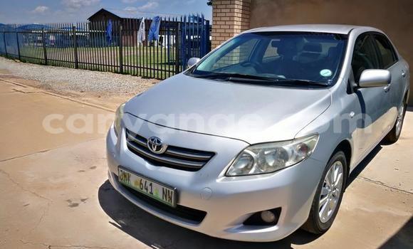 Acheter Occasion Voiture Toyota Corolla Gris à Windhoek, Namibie Acheter Occasion Voiture Toyota Corolla Gris à Windhoek, Namibie