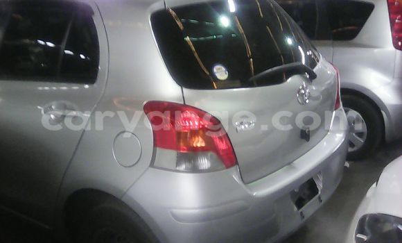 Buy Used Toyota Vitz Silver Car in Walvis Bay in Namibia Buy Used Toyota Vitz Silver Car in Walvis Bay in Namibia
