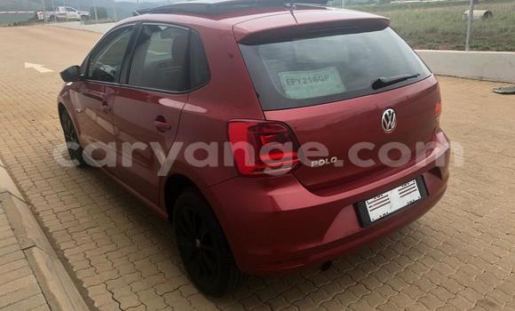 Acheter Occasion Voiture Volkswagen Polo Rouge à Windhoek, Namibie Acheter Occasion Voiture Volkswagen Polo Rouge à Windhoek, Namibie