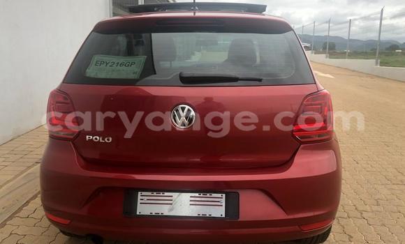 Acheter Occasion Voiture Volkswagen Polo Rouge à Windhoek, Namibie Acheter Occasion Voiture Volkswagen Polo Rouge à Windhoek, Namibie