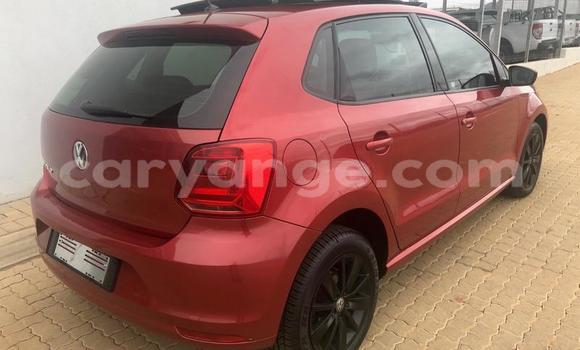 Acheter Occasion Voiture Volkswagen Polo Rouge à Windhoek, Namibie Acheter Occasion Voiture Volkswagen Polo Rouge à Windhoek, Namibie