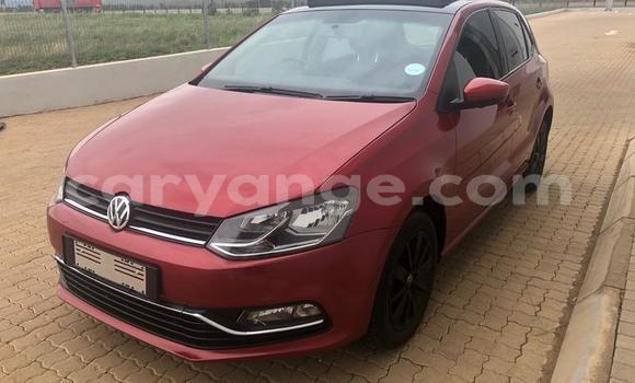 Acheter Occasion Voiture Volkswagen Polo Rouge à Windhoek, Namibie Acheter Occasion Voiture Volkswagen Polo Rouge à Windhoek, Namibie
