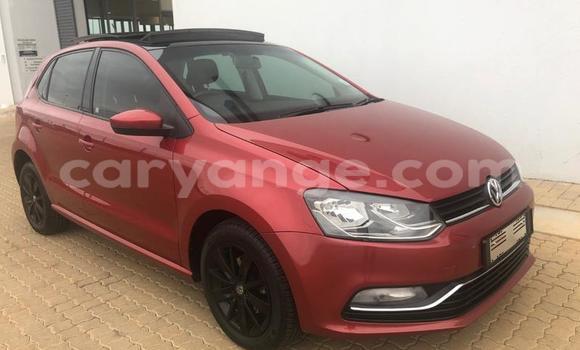 Acheter Occasion Voiture Volkswagen Polo Rouge à Windhoek, Namibie Acheter Occasion Voiture Volkswagen Polo Rouge à Windhoek, Namibie