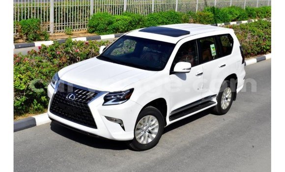 Buy Import Lexus GX White Car in Import - Dubai in Namibia Buy Import Lexus GX White Car in Import - Dubai in Namibia
