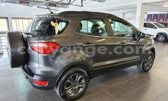 Acheter Occasion Voiture Ford EcoSport Gris à Grootfontein, Namibie Acheter Occasion Voiture Ford EcoSport Gris à Grootfontein, Namibie