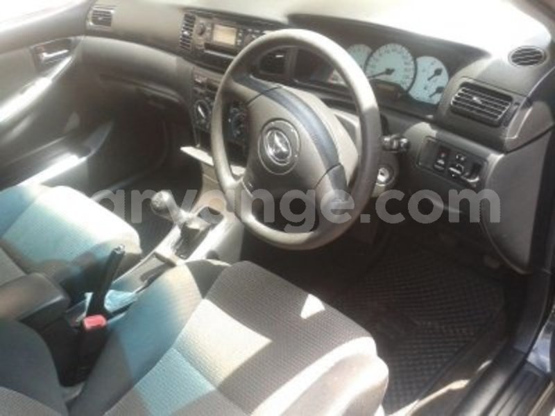 Big with watermark 1656262 6