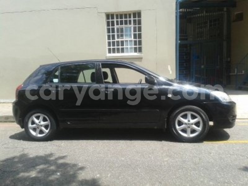 Big with watermark 1656262 3