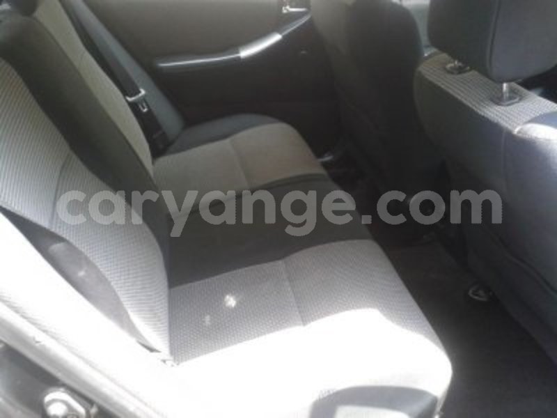 Big with watermark 1656262 7