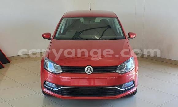 Acheter Occasion Voiture Volkswagen Polo Rouge à Windhoek, Namibie Acheter Occasion Voiture Volkswagen Polo Rouge à Windhoek, Namibie