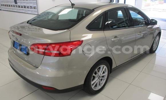Acheter Occasion Voiture Ford Focus Beige à Windhoek, Namibie Acheter Occasion Voiture Ford Focus Beige à Windhoek, Namibie