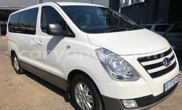 Acheter Occasion Voiture Hyundai H1 Blanc à Windhoek, Namibie Acheter Occasion Voiture Hyundai H1 Blanc à Windhoek, Namibie