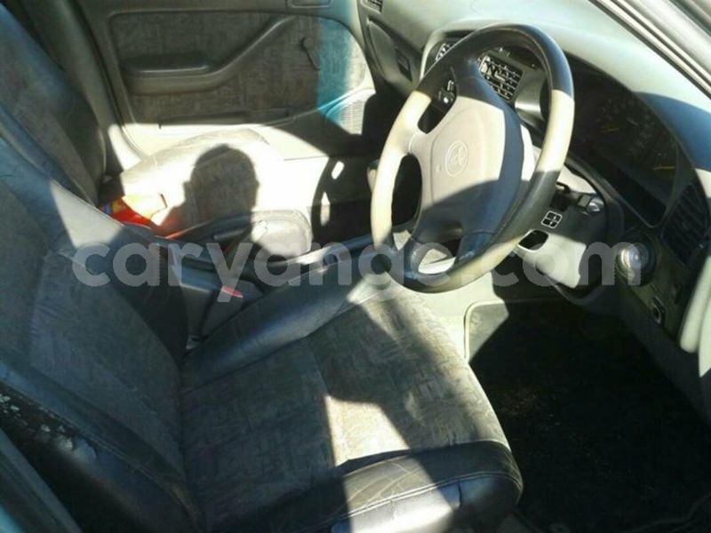 Big with watermark 18954797 10109901822210850 5806381462207131836 o