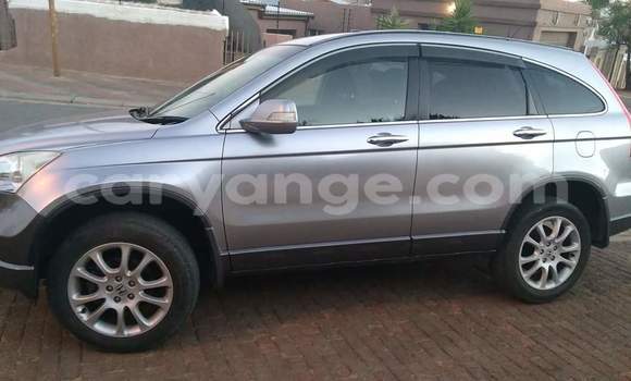 Acheter Occasion Voiture Honda CR–V Gris à Windhoek, Namibie Acheter Occasion Voiture Honda CR–V Gris à Windhoek, Namibie