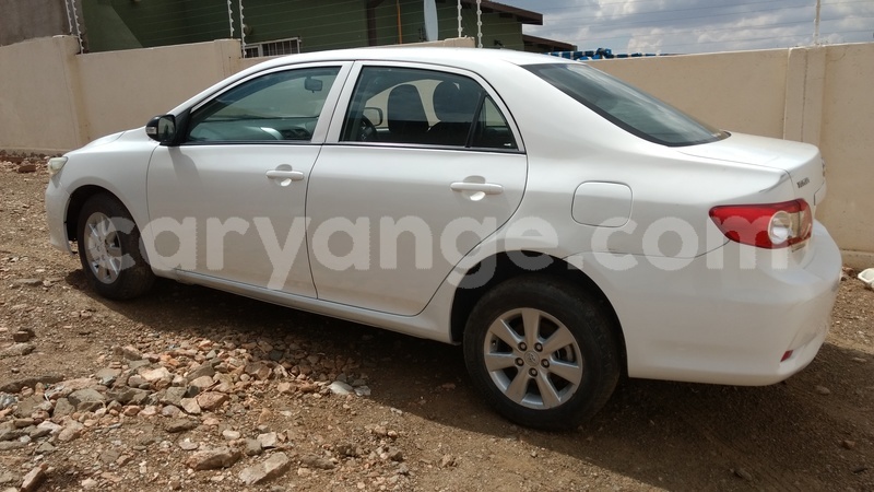 Big with watermark img 20171031 143315341