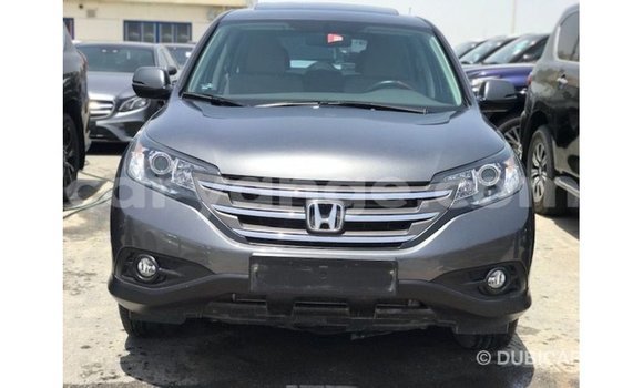 Buy Import Honda C Other Bike in Import - Dubai in Namibia Buy Import Honda C Other Bike in Import - Dubai in Namibia