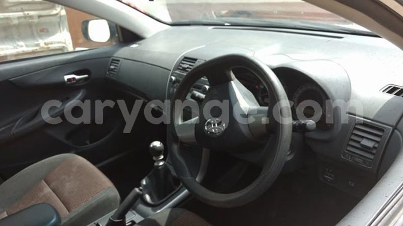 Big with watermark 18954797 10109901822210850 5806381462207131836 o