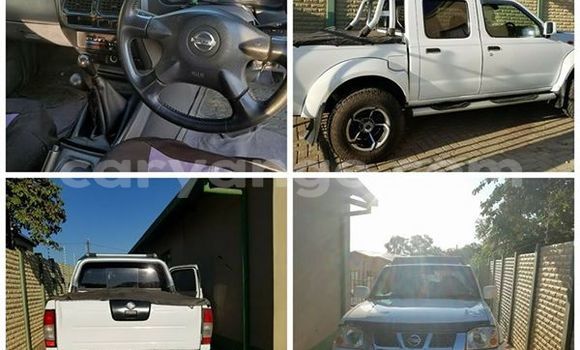 Buy Used Nissan Hardbody White Car in Windhoek in Namibia Buy Used Nissan Hardbody White Car in Windhoek in Namibia