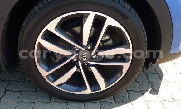 Buy Used Kia Sportage Blue Car in Grootfontein in Namibia Buy Used Kia Sportage Blue Car in Grootfontein in Namibia