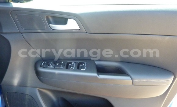 Buy Used Kia Sportage Blue Car in Grootfontein in Namibia Buy Used Kia Sportage Blue Car in Grootfontein in Namibia