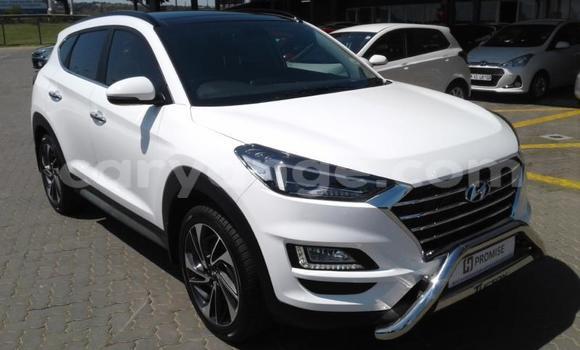 Buy Used Hyundai Tucson White Car in Gobabis in Omaheke Buy Used Hyundai Tucson White Car in Gobabis in Omaheke