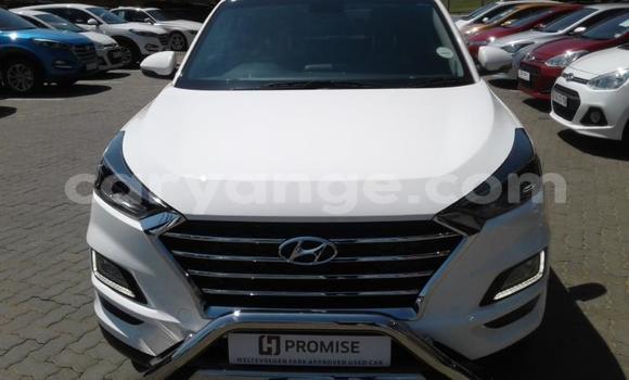 Buy Used Hyundai Tucson White Car in Gobabis in Omaheke Buy Used Hyundai Tucson White Car in Gobabis in Omaheke