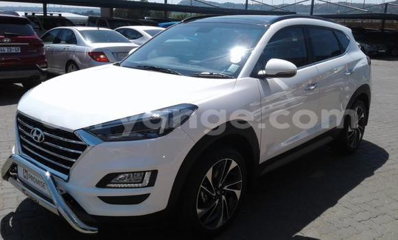 Buy Used Hyundai Tucson White Car in Gobabis in Omaheke Buy Used Hyundai Tucson White Car in Gobabis in Omaheke