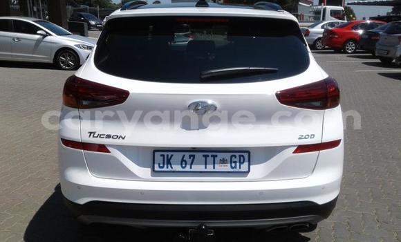 Buy Used Hyundai Tucson White Car in Gobabis in Omaheke Buy Used Hyundai Tucson White Car in Gobabis in Omaheke