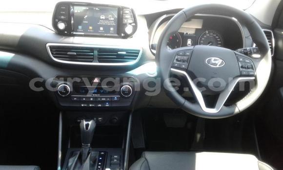 Buy Used Hyundai Tucson White Car in Gobabis in Omaheke Buy Used Hyundai Tucson White Car in Gobabis in Omaheke