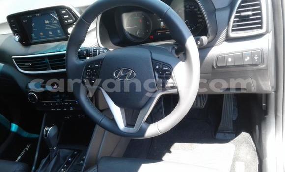 Buy Used Hyundai Tucson White Car in Gobabis in Omaheke Buy Used Hyundai Tucson White Car in Gobabis in Omaheke