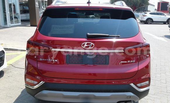 Buy Used Hyundai Santa Fe Red Car in Grootfontein in Namibia Buy Used Hyundai Santa Fe Red Car in Grootfontein in Namibia