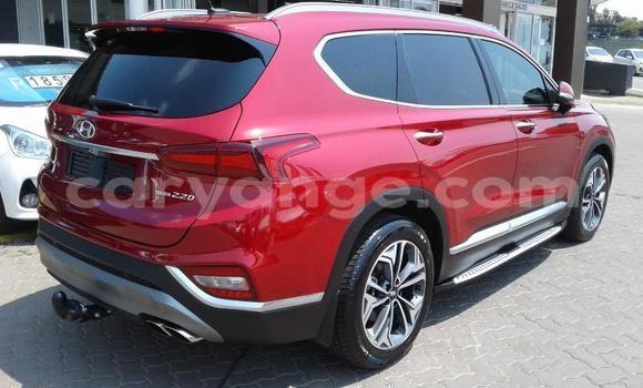 Buy Used Hyundai Santa Fe Red Car in Grootfontein in Namibia Buy Used Hyundai Santa Fe Red Car in Grootfontein in Namibia