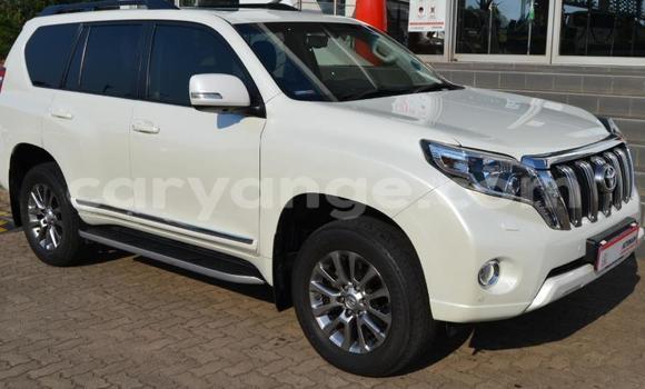 Buy Used Toyota Land Cruiser Prado Other Car in Windhoek in Namibia Buy Used Toyota Land Cruiser Prado Other Car in Windhoek in Namibia
