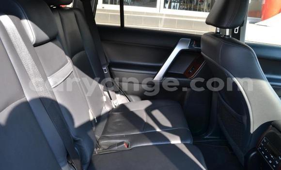 Buy Used Toyota Land Cruiser Prado Other Car in Windhoek in Namibia Buy Used Toyota Land Cruiser Prado Other Car in Windhoek in Namibia