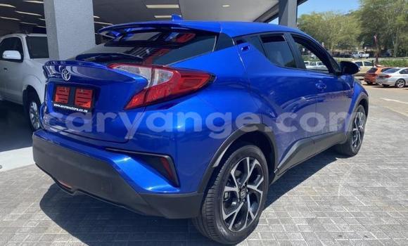 Buy Used Toyota C-HR Blue Car in Walvis Bay in Namibia Buy Used Toyota C-HR Blue Car in Walvis Bay in Namibia
