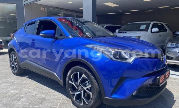 Buy Used Toyota C-HR Blue Car in Walvis Bay in Namibia Buy Used Toyota C-HR Blue Car in Walvis Bay in Namibia