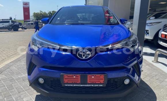 Buy Used Toyota C-HR Blue Car in Walvis Bay in Namibia Buy Used Toyota C-HR Blue Car in Walvis Bay in Namibia