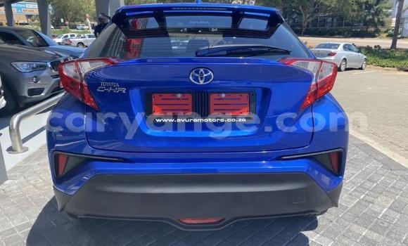 Buy Used Toyota C-HR Blue Car in Walvis Bay in Namibia Buy Used Toyota C-HR Blue Car in Walvis Bay in Namibia