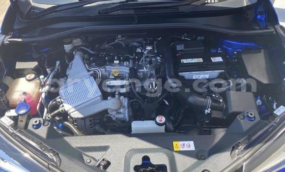 Buy Used Toyota C-HR Blue Car in Walvis Bay in Namibia Buy Used Toyota C-HR Blue Car in Walvis Bay in Namibia