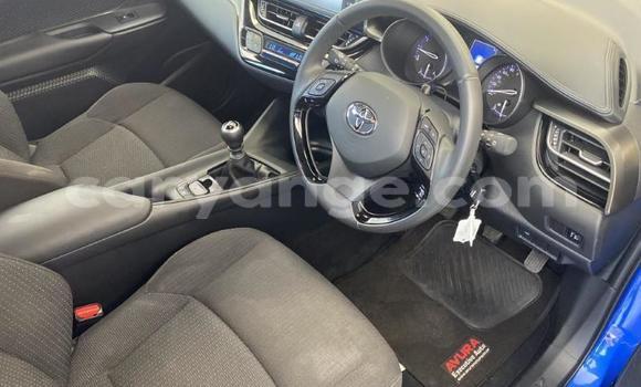 Buy Used Toyota C-HR Blue Car in Walvis Bay in Namibia Buy Used Toyota C-HR Blue Car in Walvis Bay in Namibia