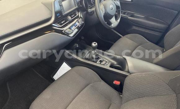 Buy Used Toyota C-HR Blue Car in Walvis Bay in Namibia Buy Used Toyota C-HR Blue Car in Walvis Bay in Namibia
